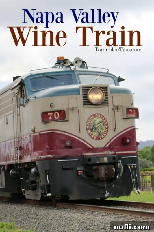 Napa Valley Wine Train over the train