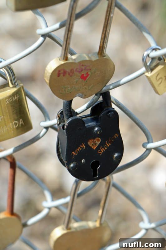Love locks on a bridge including Amy & Sheldon from the Big Bang Theory