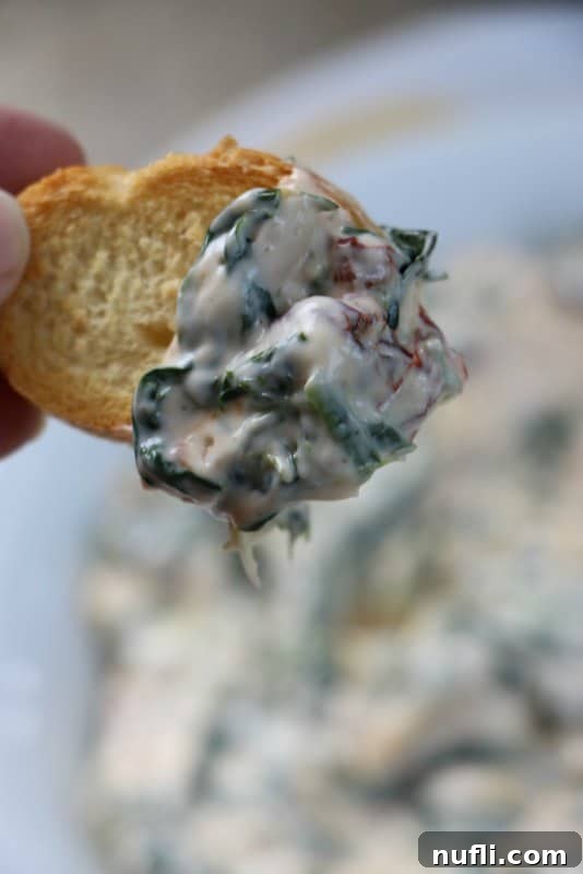 A piece of toasted bread generously topped with Creamy Spinach Artichoke Dip, ready to be enjoyed.