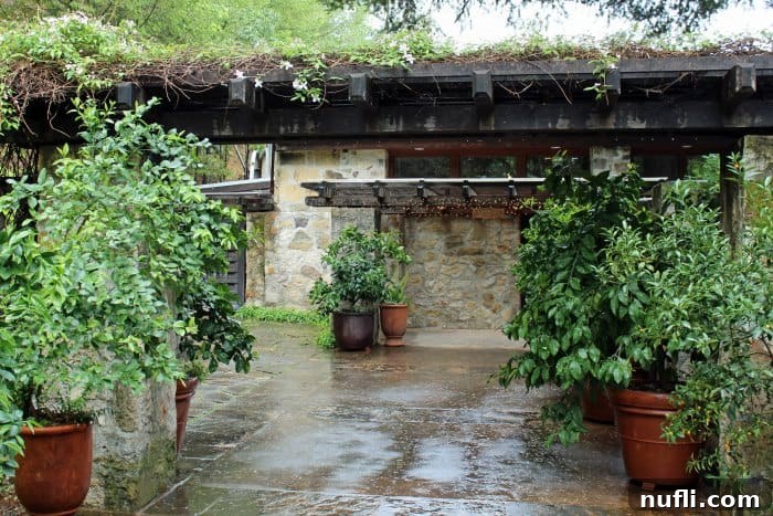 Chateau Montelena: Napa Valley's Legendary Winery 3 Chateau Montelena exterior with plants and paved walkway