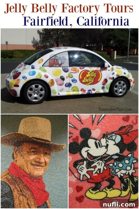 Jelly belly Factory Tour over a collage of photos 