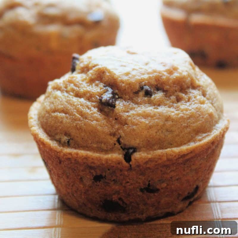 Pumpkin Chocolate Chip Muffins on a place mat
