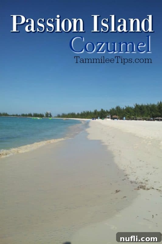 Passion Island Cozumel Power Catamaran Adventure 2 Panoramic view of Passion Island Cozumel's pristine white sand beaches and turquoise waters under a clear blue sky