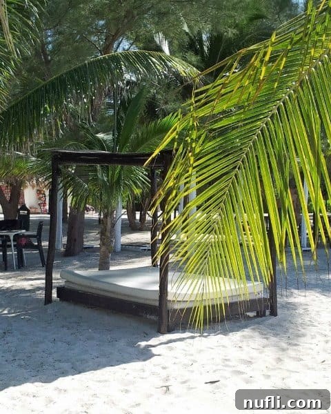 Passion Island Cozumel Power Catamaran Adventure 5 Luxurious shaded day bed with a comfortable mattress under lush palm trees on Passion Island Cozumel