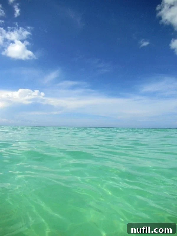 Passion Island Cozumel Power Catamaran Adventure 7 Idyllic scene of Cozumel's Passion Island featuring stunning blue ocean, white sands, and clear skies with light clouds