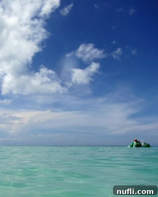 Passion Island Cozumel Power Catamaran Adventure 8 Aqua bike glides effortlessly across the calm, tropical waters of Passion Island Cozumel