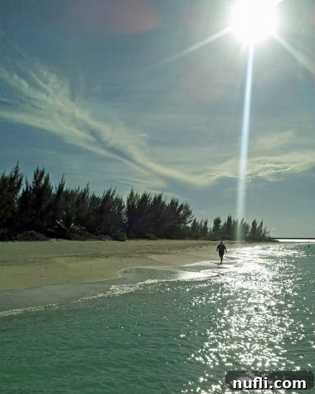 Passion Island Cozumel Power Catamaran Adventure 9 Golden sunshine illuminating the beautiful sandy shores of Passion Island Cozumel with palm trees swaying gently