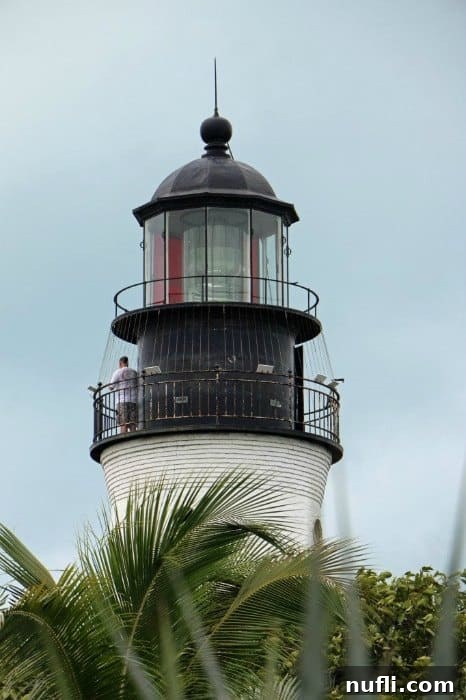 LIghthouse with palm fronds around it