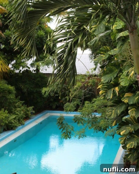 Pool with tropical foliage around it 