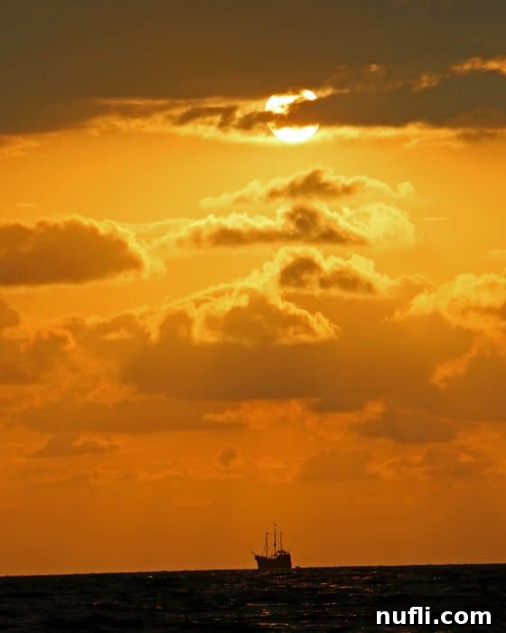 Puerto Vallarta Golden Sunset Cruise 3 Sunset over the water