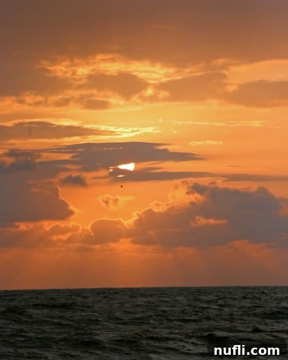 Puerto Vallarta Golden Sunset Cruise 4 Sunset over the water