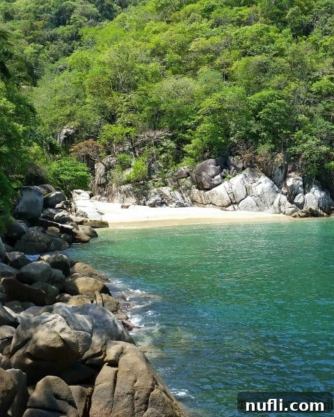 Ocean Grill Puerto Vallarta: A Mexican Seaside Culinary Experience 7 Sandy beach alcove with tropical waters