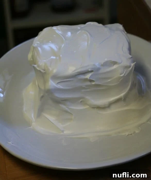 An ice cream cake completely covered in whipped topping, on a white plate