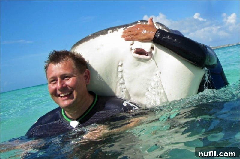 John smiling while swimming with a friendly stingray in the clear waters of Grand Turk.