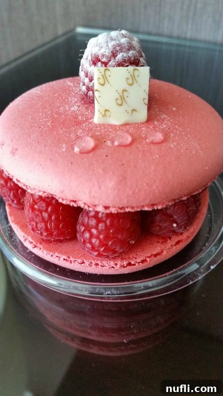 Raspberry Macaron 