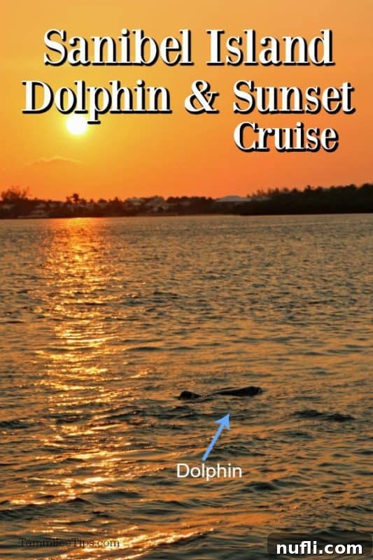 Two dolphins leaping from the water against a stunning Sanibel Island sunset