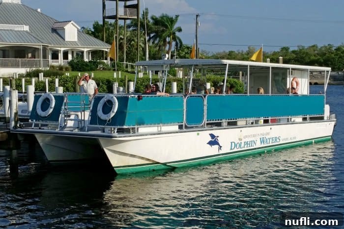 Adventures in Paradise dolphin tour boat docked at a serene Sanibel marina
