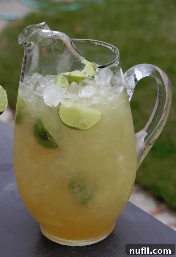 Whip Up Delicious Beer Margaritas 4 Beer Margarita Recipe