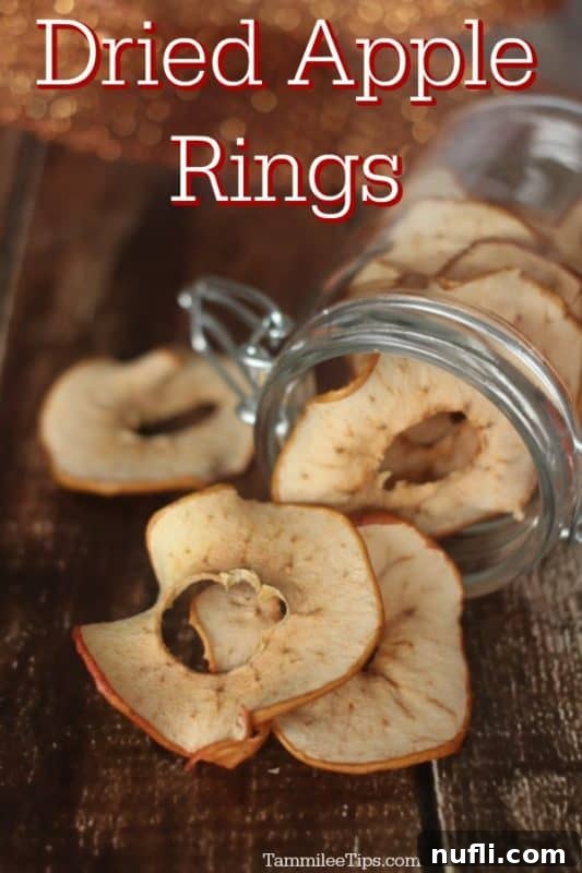 Easy Oven Dried Apple Chips 2 Dried Apple Rings over a glass jar with dried apples