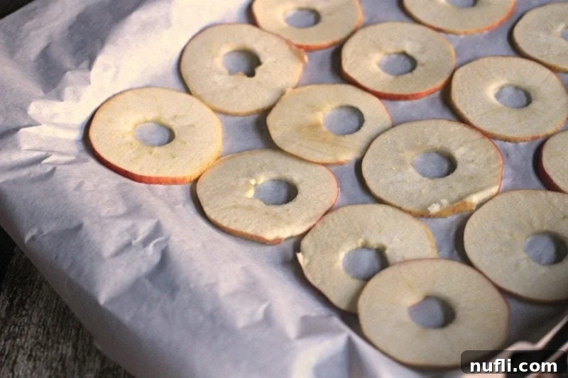 Easy Oven Dried Apple Chips 4 apple slices on parchment paper before drying