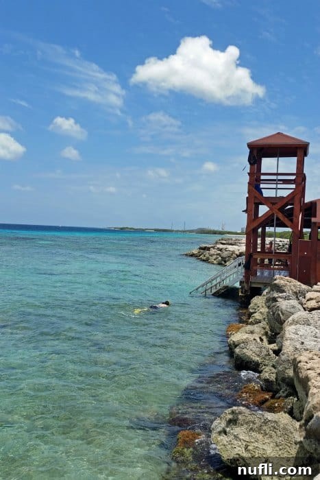 A snorkeler descending stairs into vibrant tropical water, ready to explore marine life.