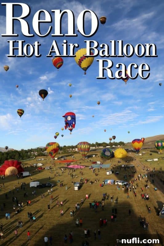 Reno Hot Air Balloon Race with hot air balloons flowing up in the sky