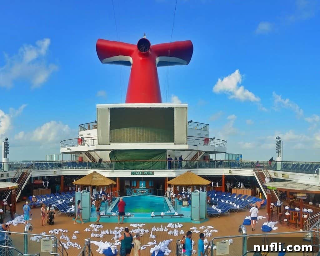 overlooking towel zoo on Carnival Sunshine