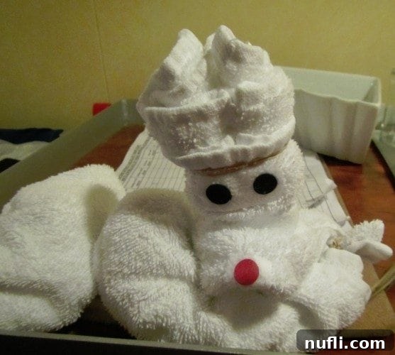 Carnival Breeze Towel Animal Dog