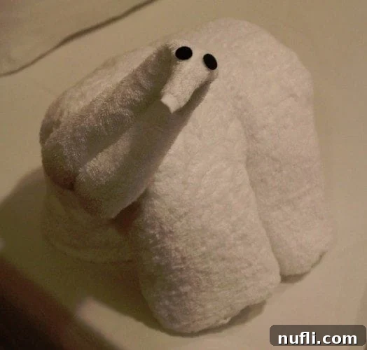 Carnival Breeze Towel Animal Dinosaur