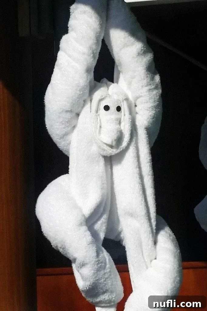 monkey towel animal carnival sunshine