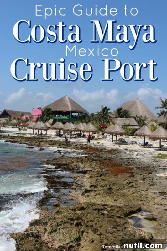 Epic guide to costa maya cruise port over thatched roof palapas on the beach 