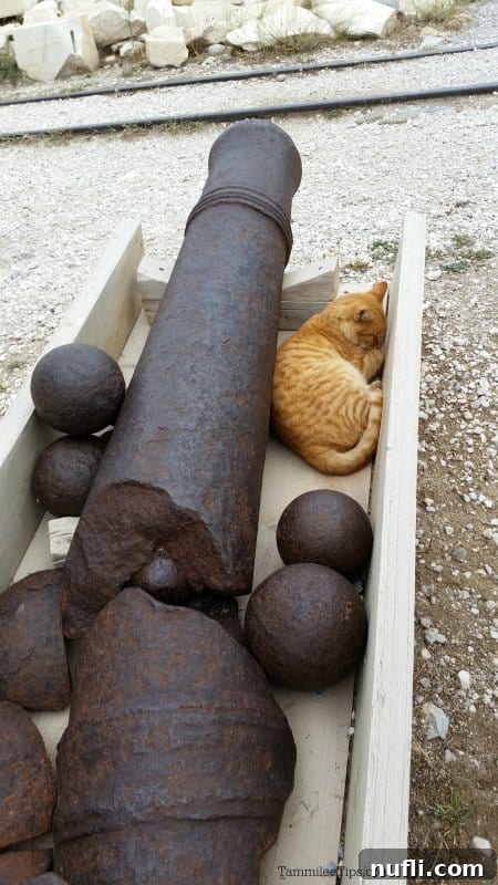 Exploring the Acropolis: Athens' Ancient Wonder 7 ORange cat sleeping by a historic cannon and cannon balls