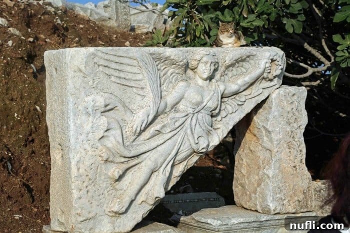 The Whiskered Wanderers of the Aegean 7 A dignified cat gracefully perched on an ancient sculpture, adding life to a timeless art piece.