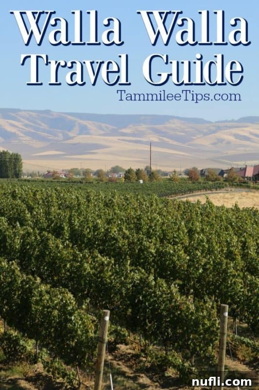 Walla Walla Travel Guide over rows of grape vines