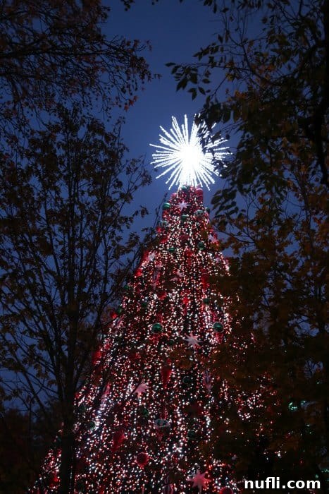 Large christmas tree with a big star on top