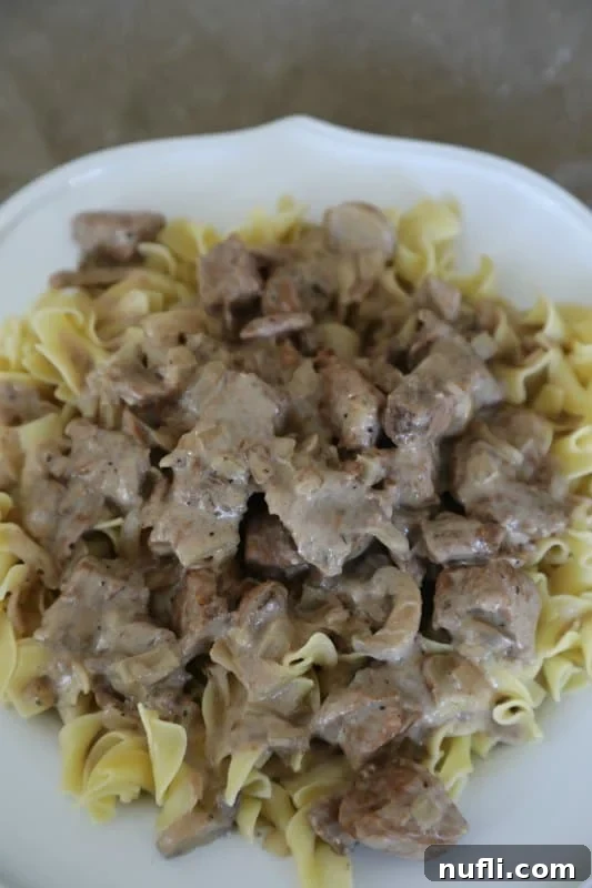 Steak stroganoff over egg noodles on a white plate