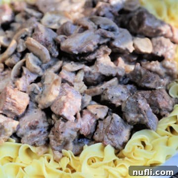 Steak stroganoff on egg noodles