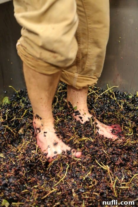feet crushing grapes