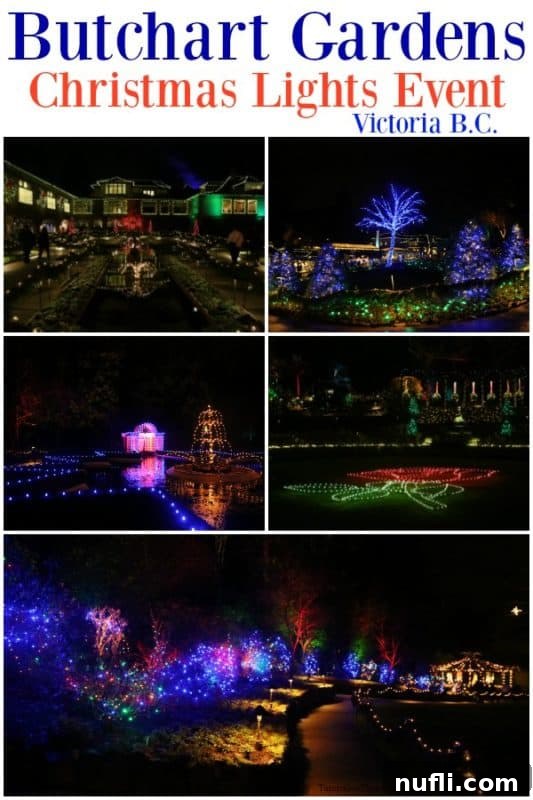 Butchart Gardens Victoria BC: Enchanting Holiday Illuminations 2 Butchart Gardens Christmas light event over photos of the gardens, showcasing a magical winter wonderland scene with illuminated trees and festive decorations
