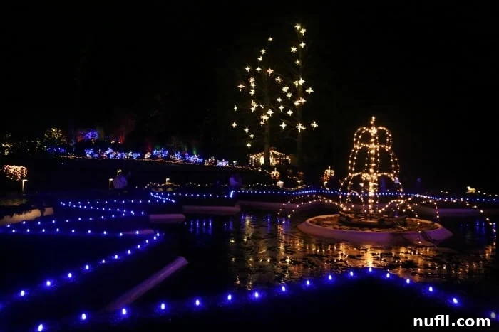 Butchart Gardens Victoria BC: Enchanting Holiday Illuminations 6 Panoramic view of Christmas Lights at Butchart Gardens, showing illuminated trees and pathways stretching into the distance under a night sky