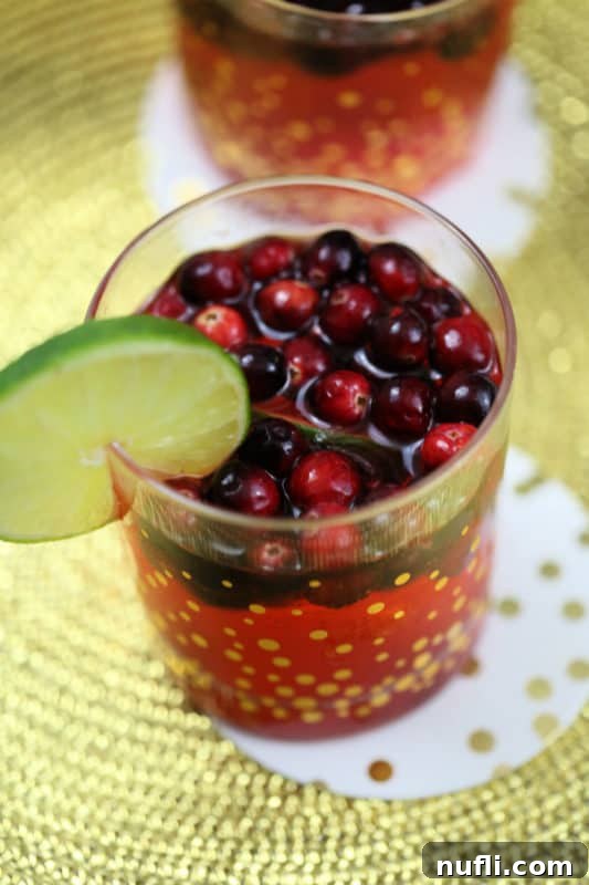 A close-up of a festive cranberry and lime cocktail, beautifully presented in a gold dotted glass, with fresh cranberries and lime slices.