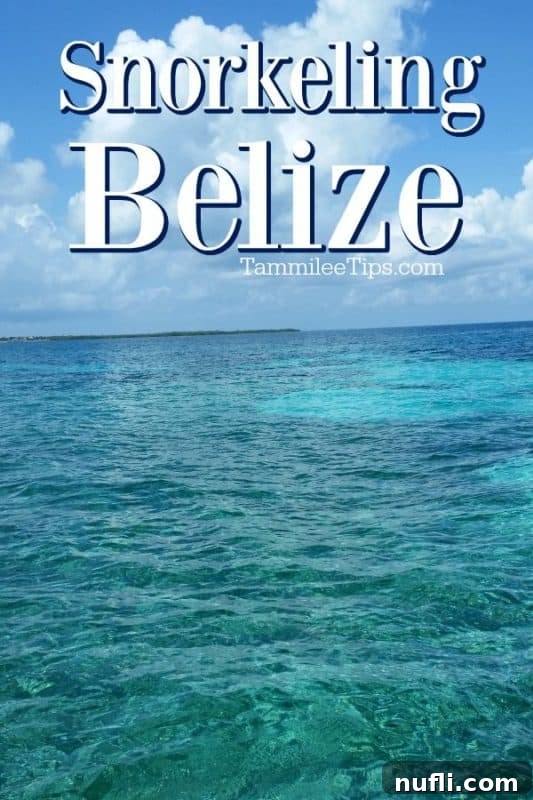 Snorkeling above Belize's tropical waters, showing vibrant coral formations and schools of fish beneath the surface