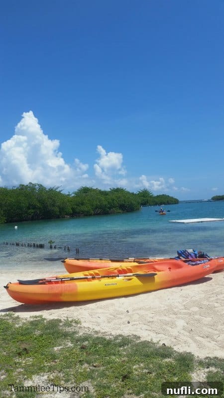 Several kayaks resting on a tranquil beach near mangrove trees, with calm turquoise water in Belize