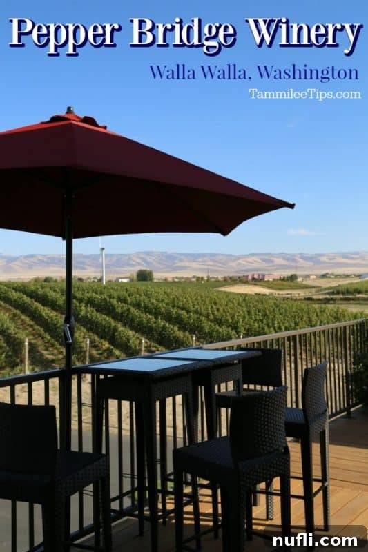 Pepper Bridge Winery Walla Walla over a table and chairs with an umbrella looking over the vineyard