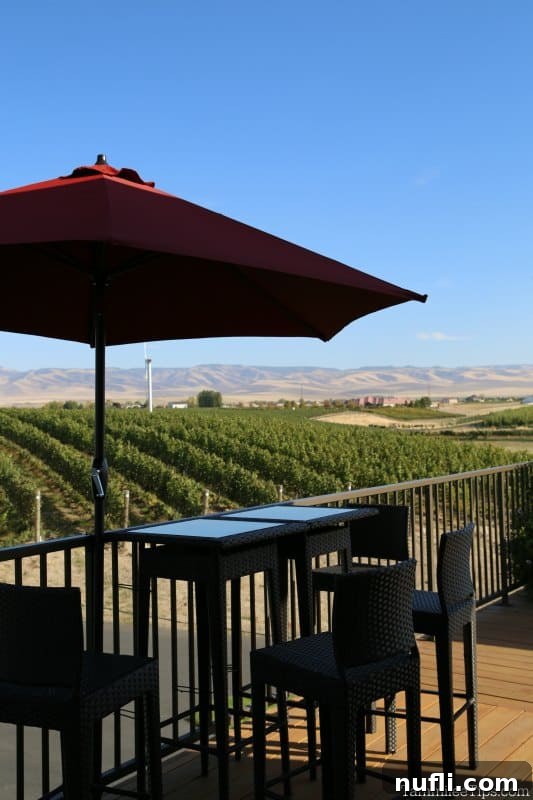 table on a deck overlooking the vineyards