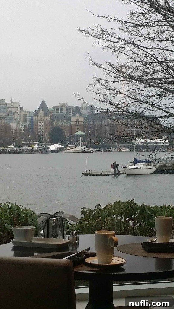 Victoria BC: A Foodie's Guide 7 View from Aura At The Inn at Laurel Point in Victoria BC