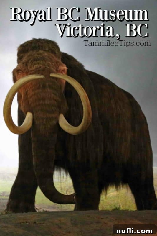 Royal BC Museum Victoria over a whooly Mammoth 