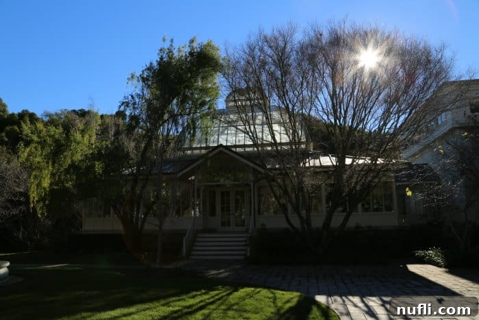 Golden sunlight streams through dense trees, illuminating a quaint greenhouse nestled amongst the lush foliage, creating a peaceful and picturesque scene within the diverse landscape of Skywalker Ranch.