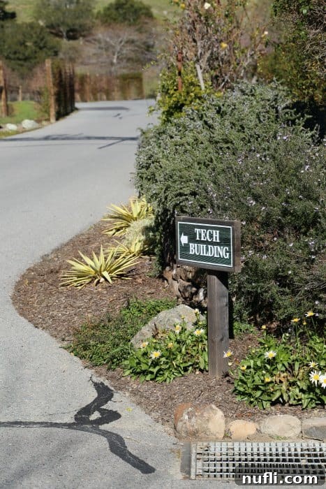 A rustic wooden sign reading 'Tech Building' points up a winding road, flanked by lush green foliage and trees, hinting at the natural integration of technology within the ranch's environment.