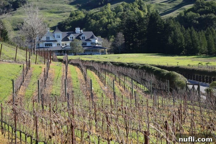 Expansive vineyards gracefully lead towards a magnificent white Main House, nestled amidst gentle rolling hills under a clear blue sky, illustrating the harmonious blend of agriculture and architecture at Skywalker Ranch.